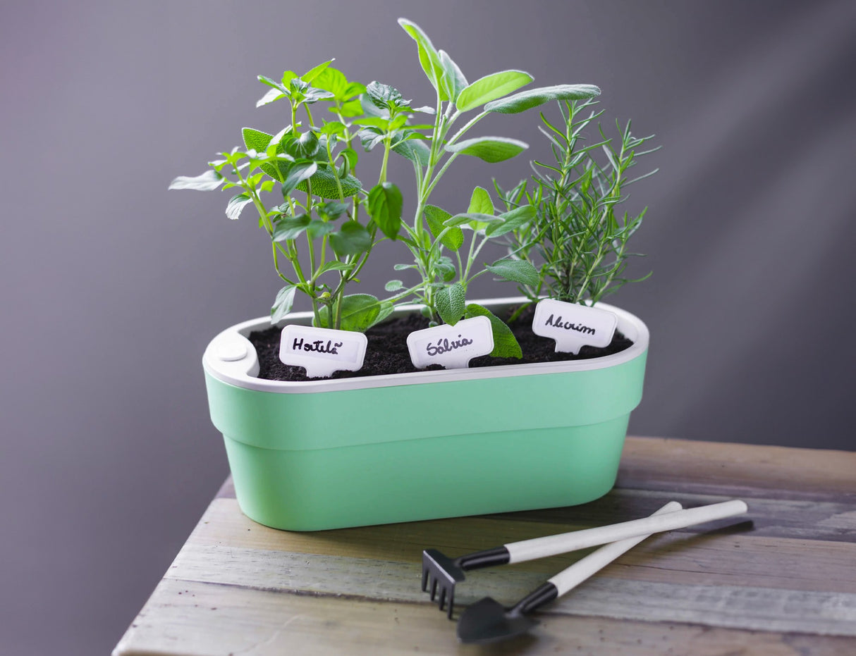 Macetero Huerta Auto Riego Verde Menta  29 x 11 cm