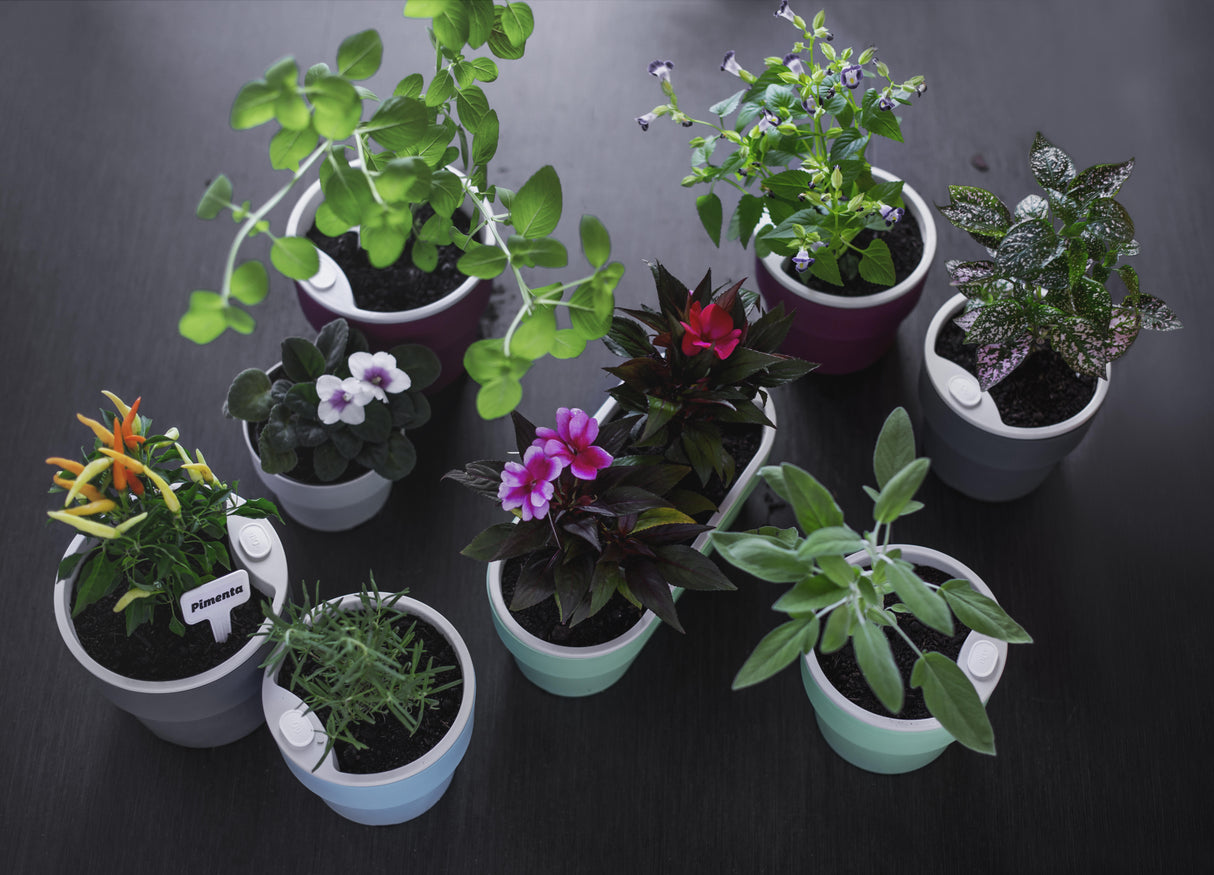 Macetero Autorriego Gris 16 x 14 cm