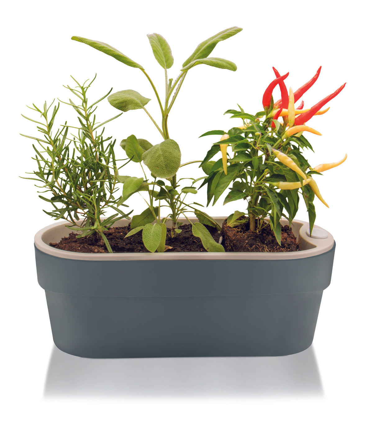 Macetero Huerta Auto Riego Gris 29 x 11 cm