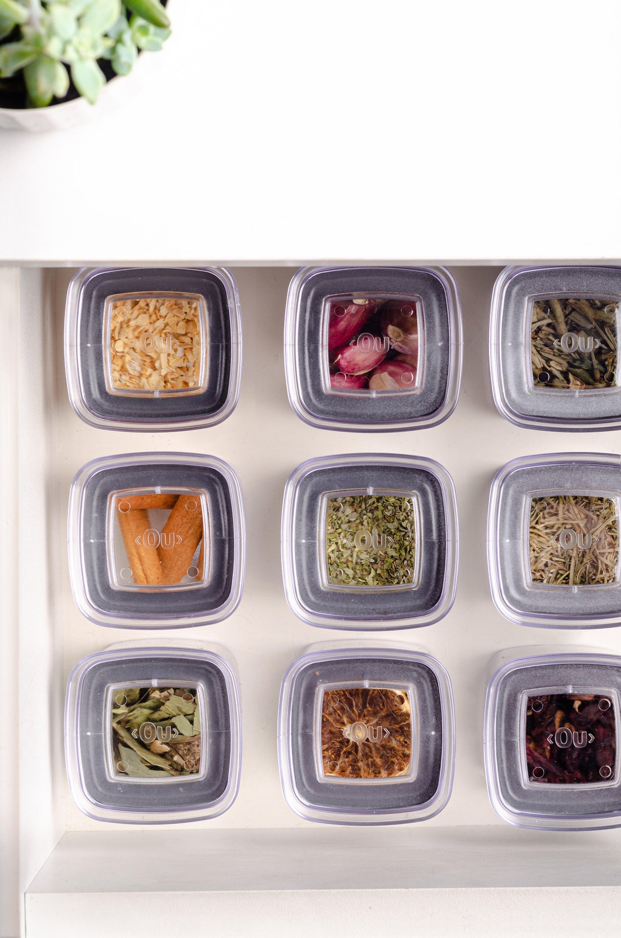 Conjunto Especieros Herméticos Block 6 Piezas (0,150L) Transparente