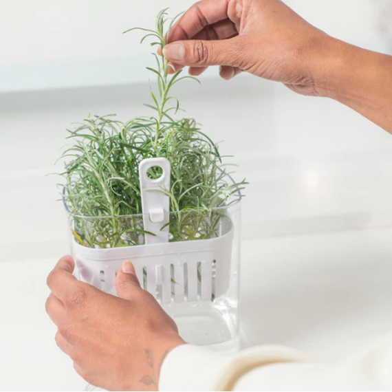 Organizador de condimentos refrigerador Clear fresh 1,5 lt Ou