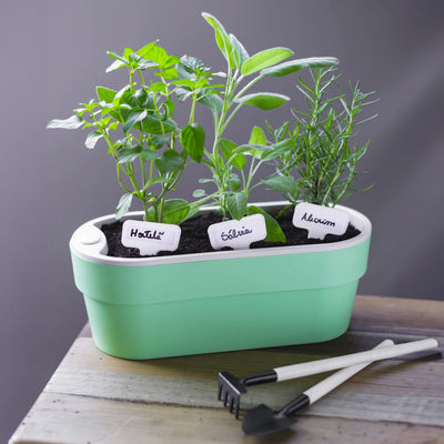 Macetero Huerta Auto Riego Verde Menta  29 x 11 cm