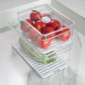 Organizador de Refrigerador Clear Fresh 2,2 Lt