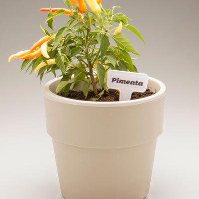 Macetero Auto Riego Beige 1,6 Litros