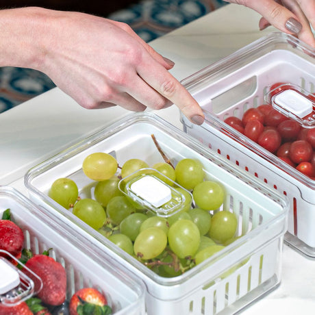 Organizador de Refrigerador con Cesta Clear Fresh 2,2 Lt