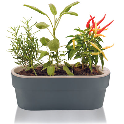 Macetero Huerta Auto Riego Gris 29 x 11 cm